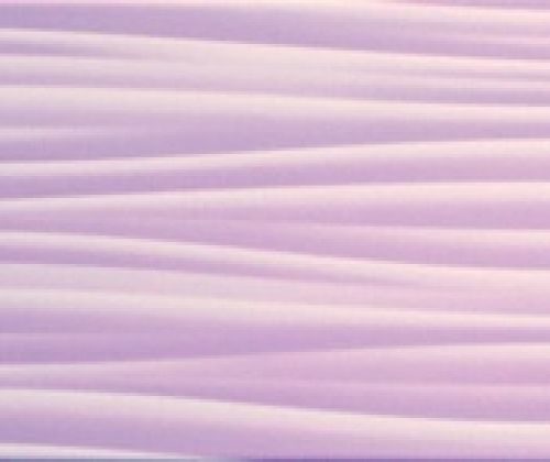 Rev.Daisy Malva 22x60