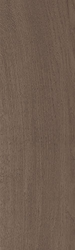 Brown 20×120