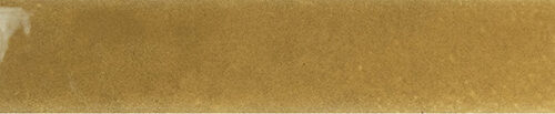 Dijon Gloss 3x16